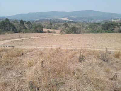 Terreno para Venda, em Prudentpolis, bairro PEDRA BRANCA