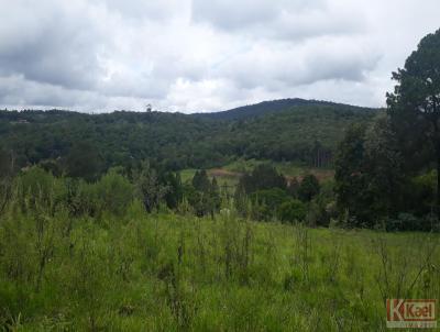 Terreno Rural para Venda, em So Roque, bairro Canguera