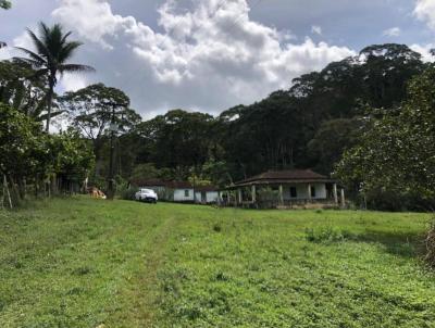 Fazenda para Venda, em Ibirataia, bairro AU DA TORRE