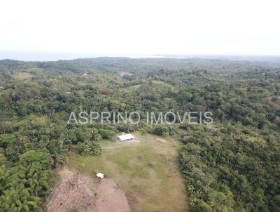 Stio para Venda, em Ilhus, bairro Carobeira 2, 3 dormitrios, 3 banheiros, 2 sutes