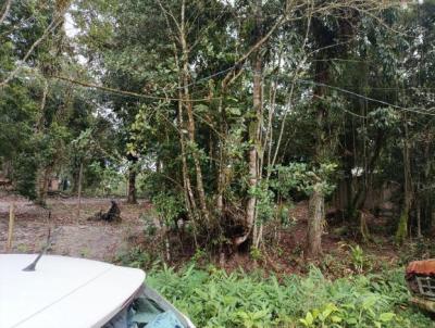 Terreno para Venda, em Itanham, bairro Jardim Coronel