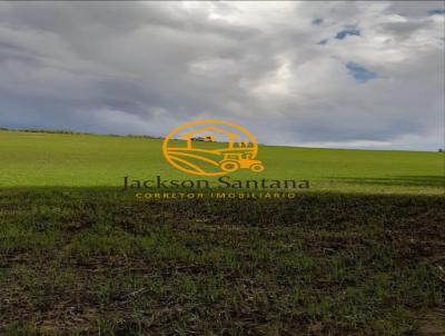 Terreno Rural para Venda, em , bairro Santos Andrade