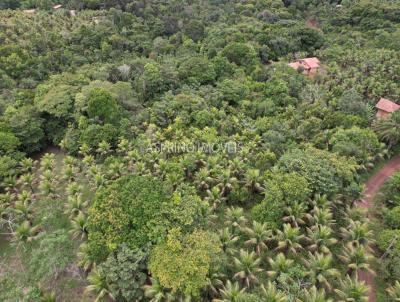 Stio para Venda, em Uruuca, bairro Fazenda Serra Grande