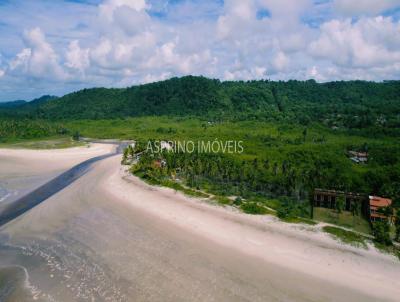 Terreno em Praia para Venda, em Ilhus, bairro Mamo