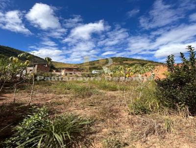 Stio / Chcara para Venda, em Coronel Fabriciano, bairro Contente