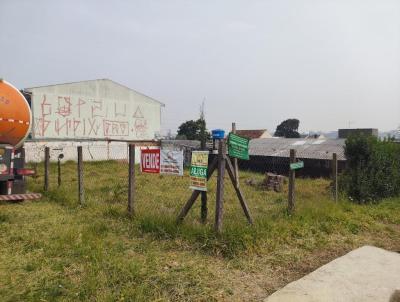 Terreno para Venda, em Curitiba, bairro Pinheirinho