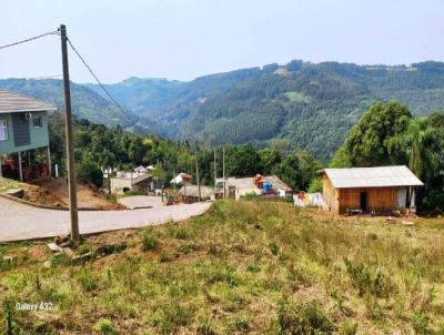 Terreno para Venda, em Nova Petrpolis, bairro So Jac