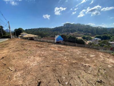 Terreno para Venda, em Nova Friburgo, bairro Braunes