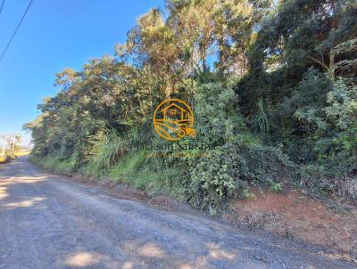 Terreno Rural para Venda, em Antnio Olinto, bairro So Joo