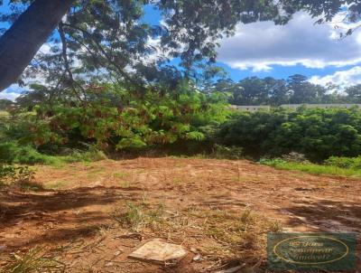 Lote para Venda, em Par de Minas, bairro Jardim das Piteiras