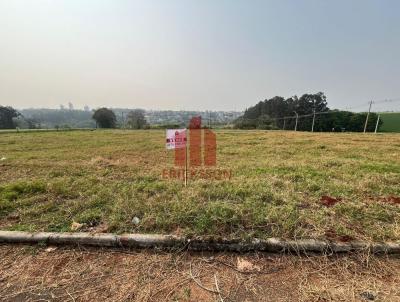 Terreno para Venda, em Santa Rosa, bairro Central