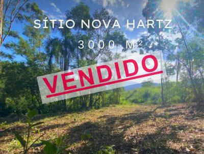 Stio para Venda, em Nova Hartz, bairro centro