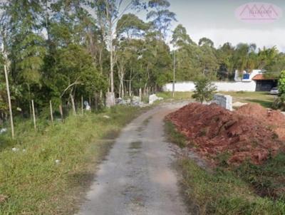 Lote para Venda, em Suzano, bairro Jardim dos Eucaliptos