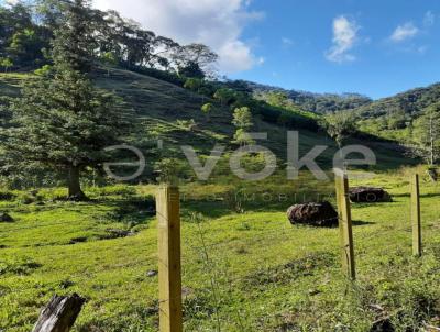 Terreno Rural para Venda, em Pomerode, bairro Testo Alto