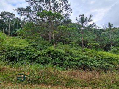 Terreno para Venda, em Pomerode, bairro Testo Alto