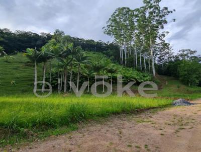 Terreno para Venda, em Pomerode, bairro Pomerode Fundos