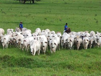 Fazenda para Venda, em Porto Esperidio, bairro Zona rural