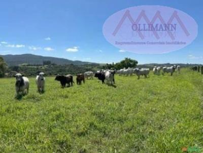 rea Rural para Venda, em Capela do Alto, bairro Capela Do Alto, 4 dormitrios, 3 banheiros, 2 sutes, 10 vagas