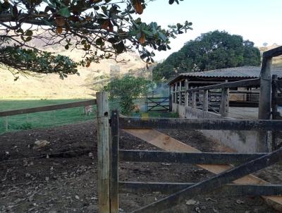 Stio para Venda, em Mantena, bairro Mantena