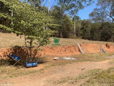 Chcara para Venda, em Juiz de Fora, bairro Chapu D`Uvas