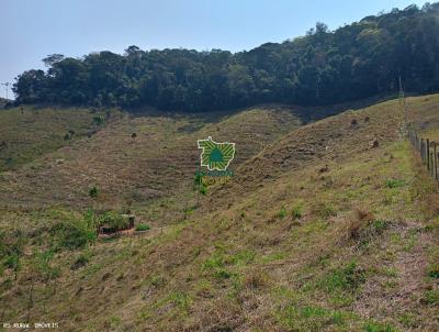 Terreno para Venda, em Santa Brbara do Monte Verde, bairro 3km de estrada de cho