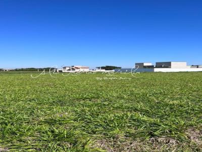 Terreno em Condomnio para Venda, em Panorama, bairro Condomnio Bela Vista