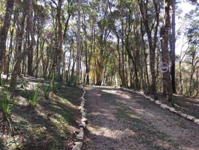 Chcara para Venda, em Agudos do Sul, bairro Centro, 8 dormitrios, 3 banheiros, 3 vagas