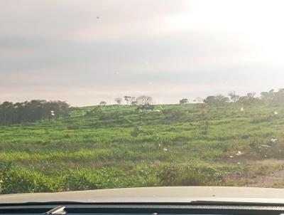 Fazenda para Venda, em Miranda, bairro Zona Rural Miranda