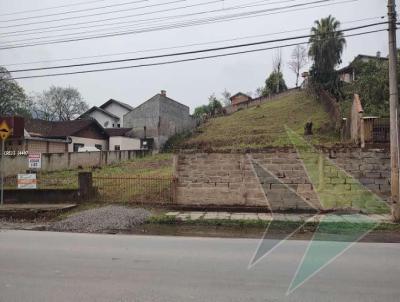 Lote para Venda, em Tai, bairro Padre Eduardo