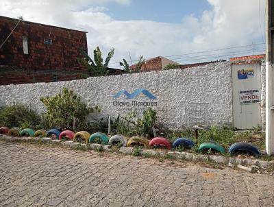 Terreno para Venda, em Natal, bairro Ponta Negra