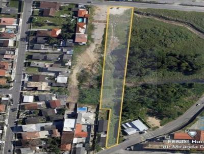 Terreno para Venda, em So Jos, bairro Ipiranga