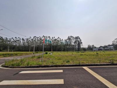 Lote para Venda, em Cricima, bairro Vila Zuleima