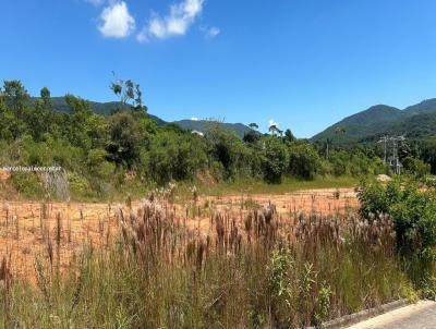 Terreno para Venda, em So Jos, bairro Forquilhas
