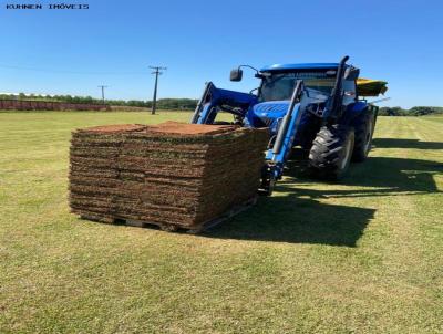 Comercial para Venda, em Lucas do Rio Verde, bairro rea Rural de Lucas do Rio Verde