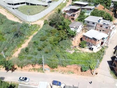 Lote para Venda, em Cachoeiro de Itapemirim, bairro So Francisco de Assis