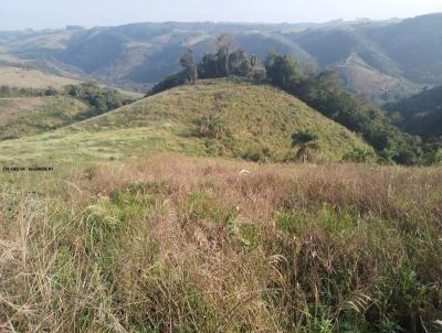 Terreno para Venda, em , bairro FAZENDA VELHA