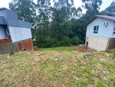 Terreno para Venda, em Dois Irmos, bairro Bela Vista