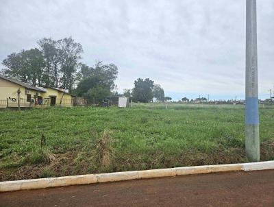 Terreno para Venda, em Coronel Barros, bairro Centro