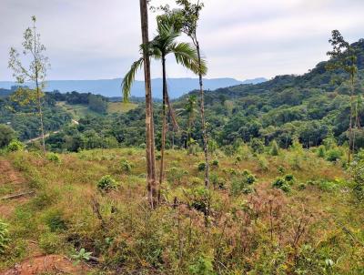 Stio para Venda, em Rodeio, bairro Diamantina (Pico)