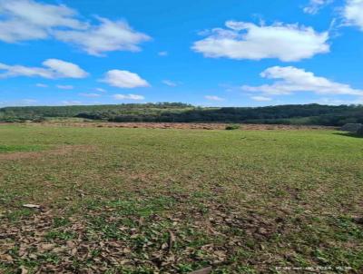 rea Rural para Venda, em Camaqu, bairro .