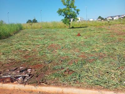 Terreno para Venda, em Ribeiro Preto, bairro Reserva Macaba