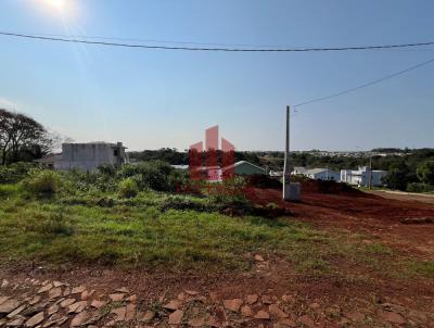 Terreno para Venda, em Santa Rosa, bairro Central