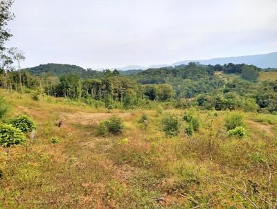 Stio para Venda, em Rodeio, bairro Diamantina (Pico)