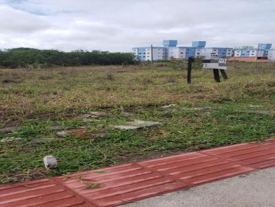 Terreno para Venda, em So Jos, bairro Potecas