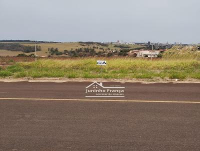 imagem-miniatura