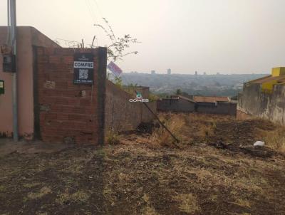 Lote para Venda, em Jata, bairro VILA OLAVO