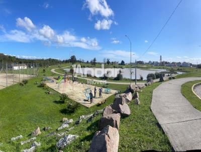 Terreno para Venda, em Pelotas, bairro Trs Vendas