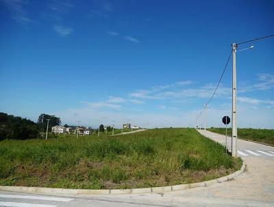 Terreno Residencial para Venda, em Iara, bairro Linha Anta