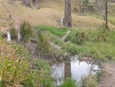 Stio para Venda, em Cunha, bairro Serto dos Marianos, 3 dormitrios, 1 banheiro, 1 vaga