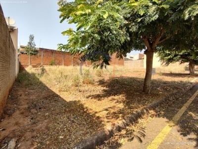 Terreno para Venda, em Jos Bonifcio, bairro Residencial Valentim Ciani